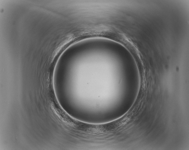 X0000057100107200509161705