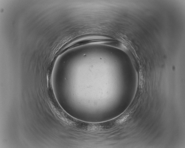 X0000057100109200509161705