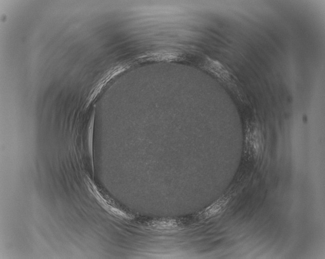 X0000057100110200509161705