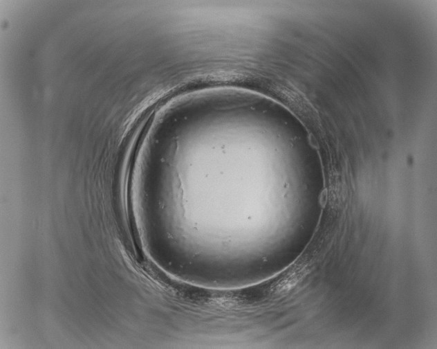 X0000057100111200509161705