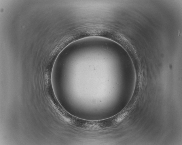 X0000057100113200509161705