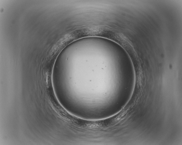 X0000057100115200509161705