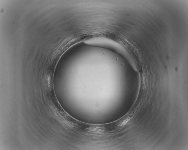 X0000057100117200509161704