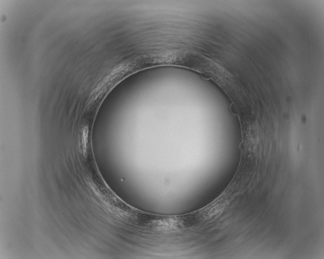 X0000057100118200509161704