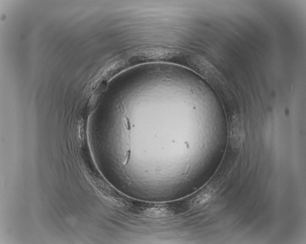 X0000057100119200509161704