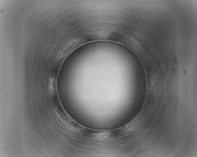 X0000057100122200509161704