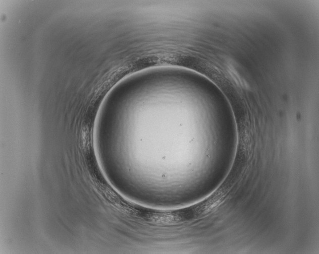 X0000057100123200509161704