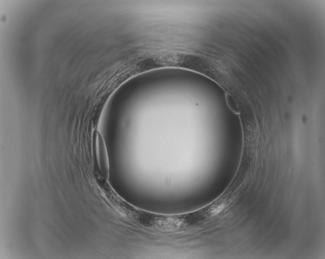 X0000057100125200509161704