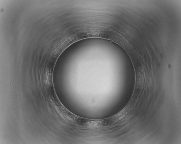 X0000057100126200509161704