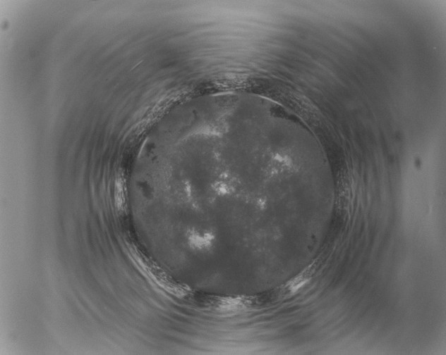 X0000057100130200509161704