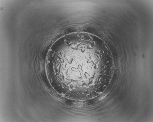 X0000057100131200509161704