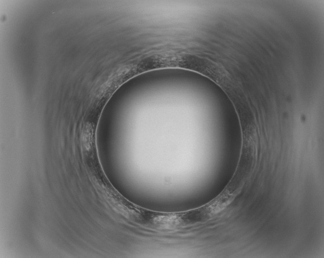 X0000057100133200509161704