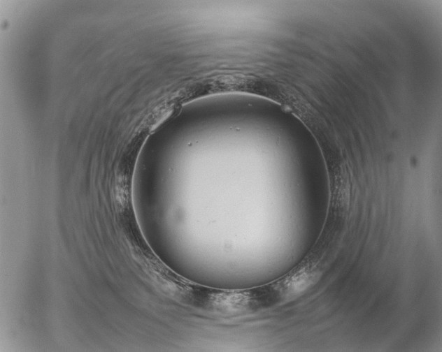 X0000057100135200509161704