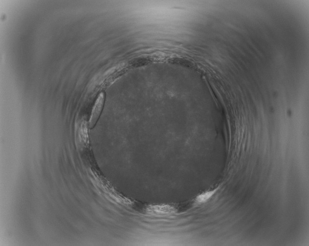 X0000057100137200509161704