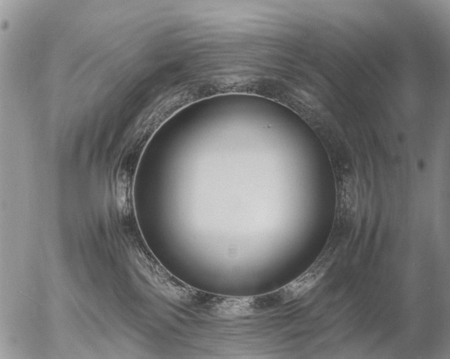 X0000057100138200509161704