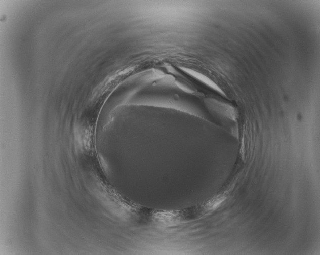 X0000057100139200509161704