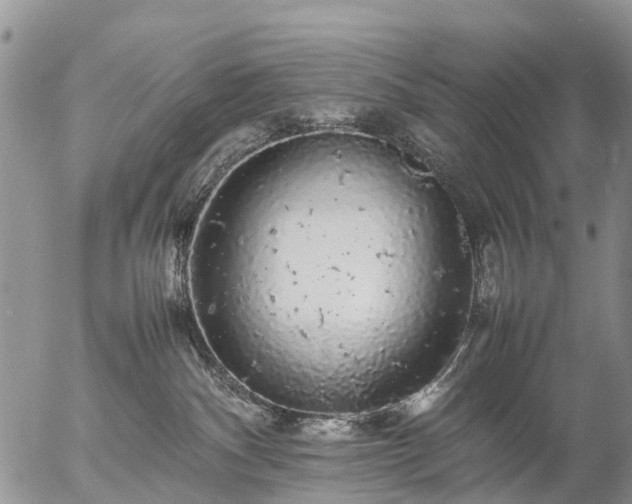 X0000057100140200509161704