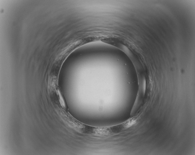 X0000057100141200509161704