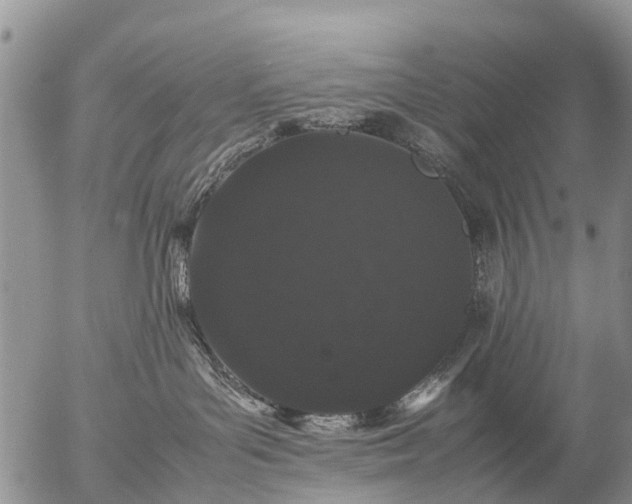 X0000057100143200509161704