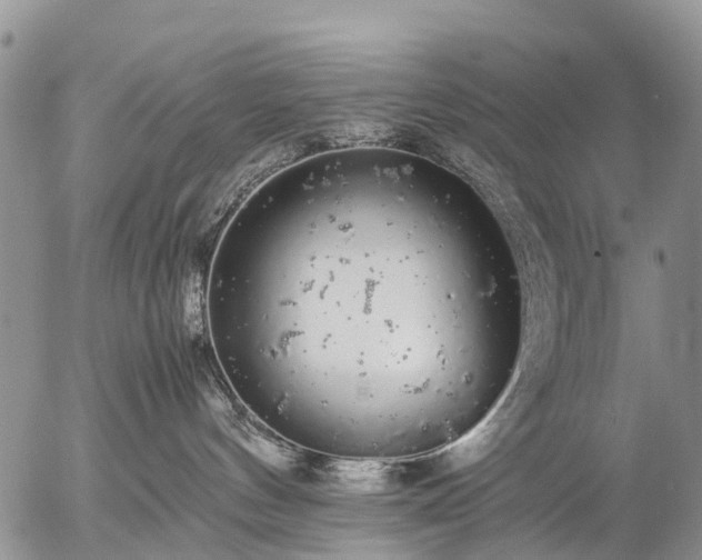 X0000057100144200509161704