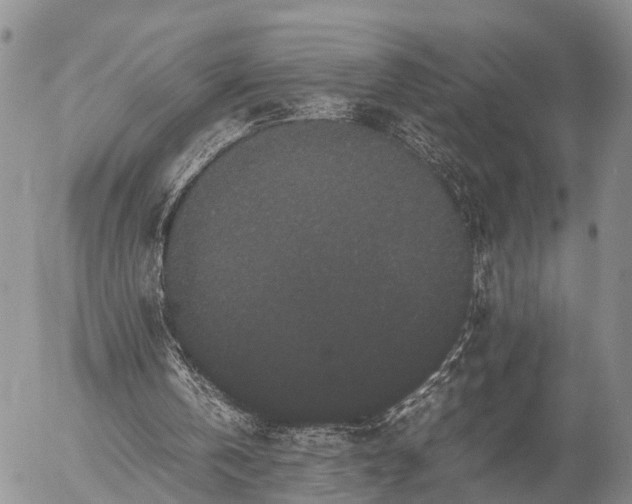 X0000057100146200509161703