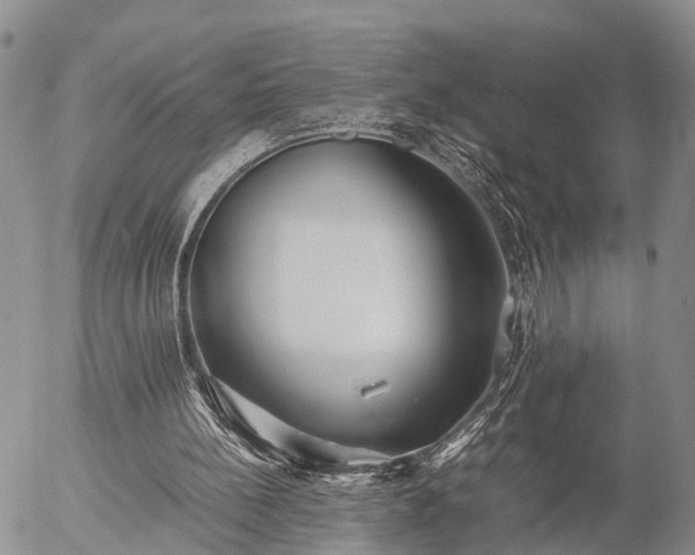 X0000057100148200509161703