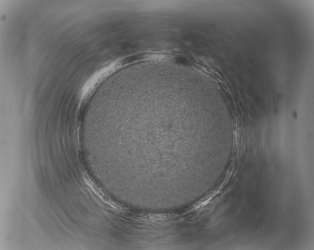 X0000057100149200509161703