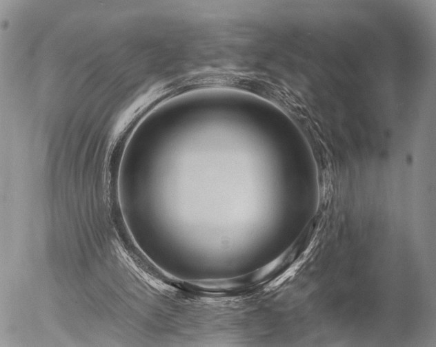 X0000057100150200509161703