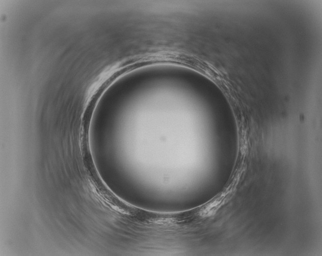 X0000057100152200509161703