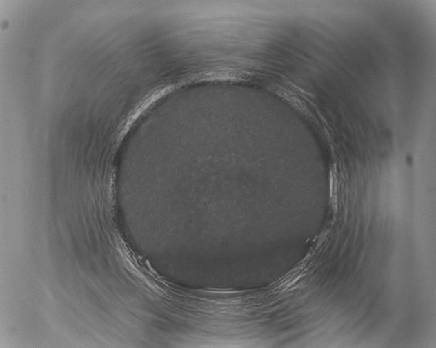 X0000057100156200509161703