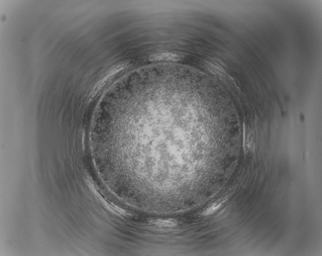 X0000057100157200509161703