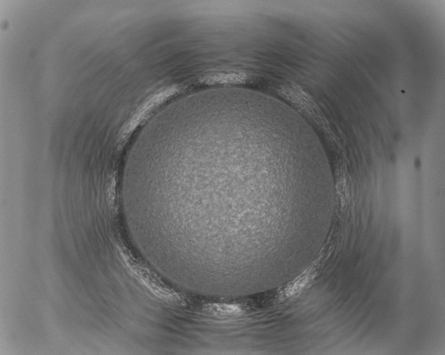 X0000057100159200509161703