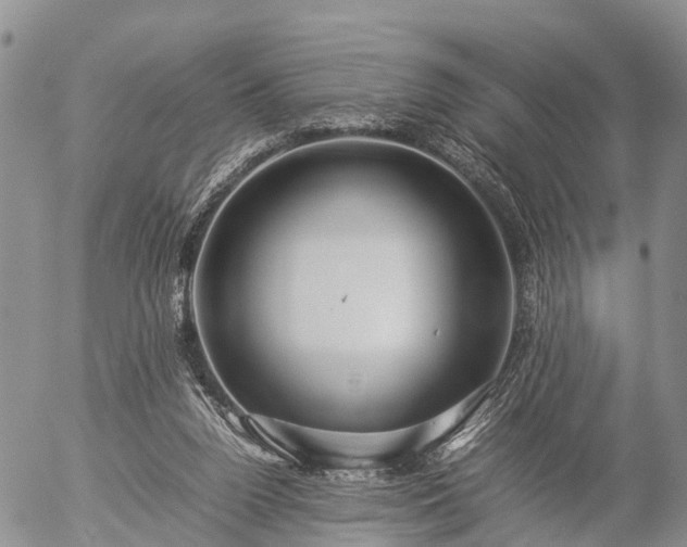 X0000057100160200509161703