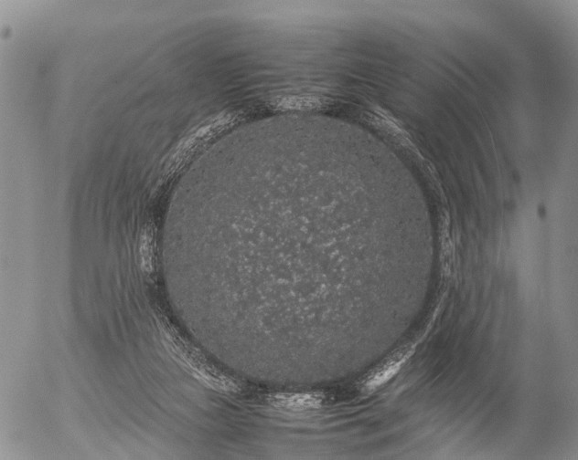 X0000057100161200509161704