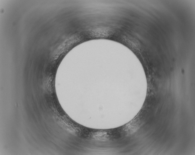 X0000057100162200509161704