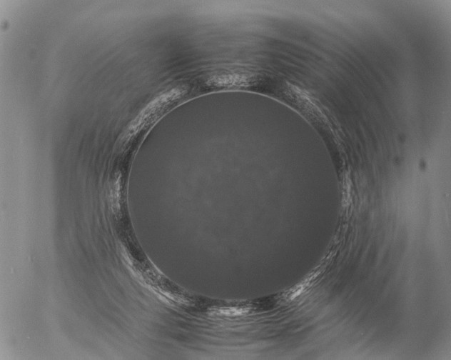 X0000057100163200509161704