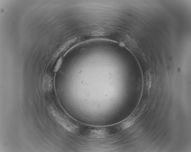 X0000057100164200509161704