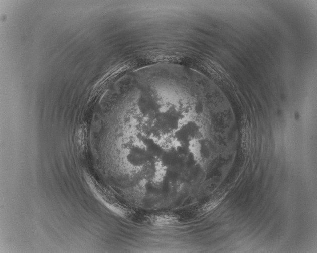 X0000057100165200509161704