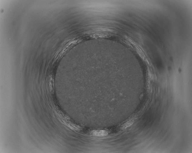 X0000057100169200509161704