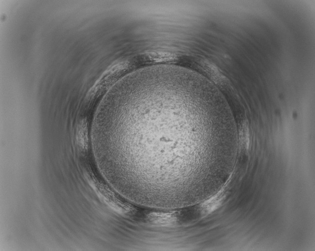 X0000057100170200509161704