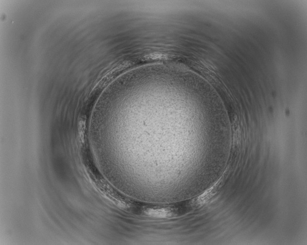 X0000057100171200509161704