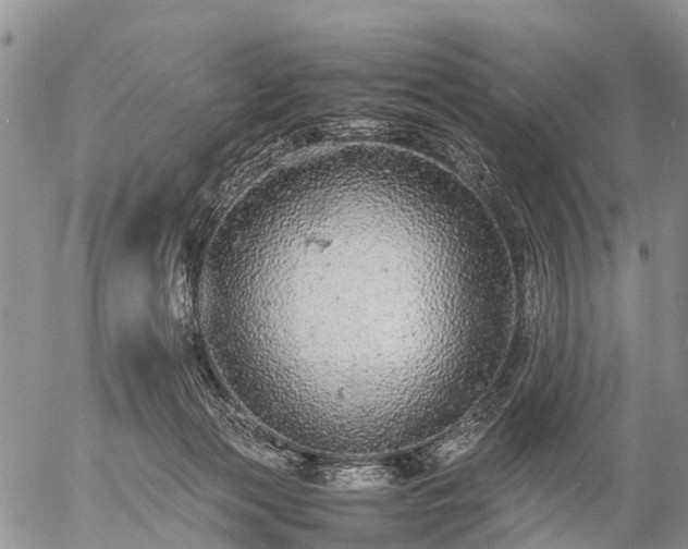 X0000057100173200509161704