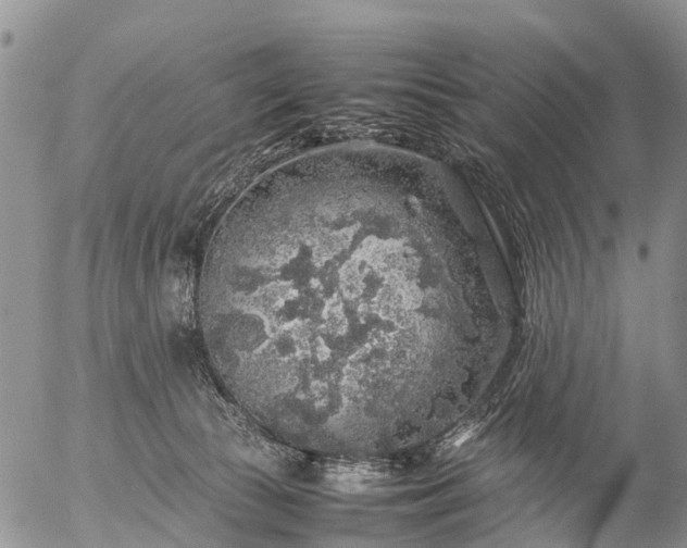 X0000057100177200509161704