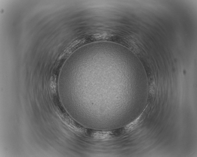 X0000057100179200509161704