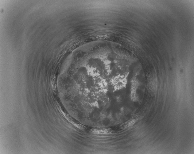 X0000057100181200509161704