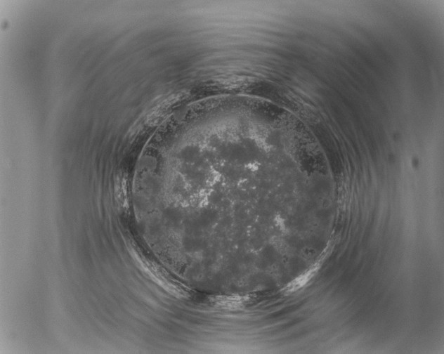 X0000057100182200509161704