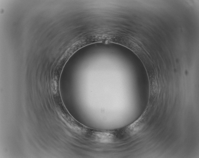 X0000057100183200509161704