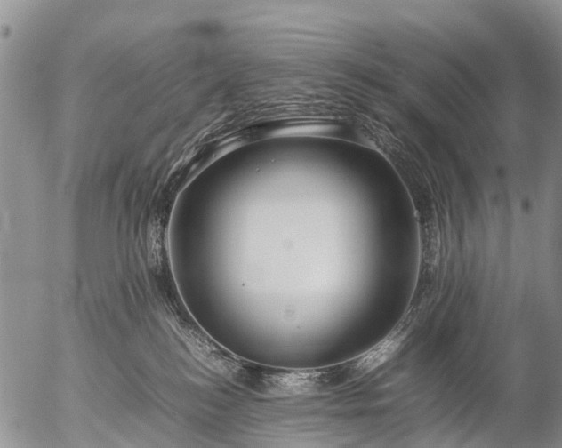 X0000057100184200509161704