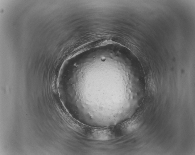 X0000057100185200509161704