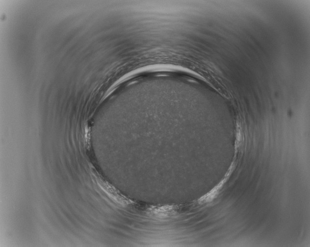 X0000057100186200509161704